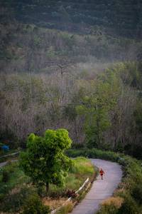 BIB: 
                            <button type="button" onclick="openModal(21900264)" class="btn btn-primary btn-sm float-right btn-popup" data-toggle="modal" data-target=".modal-high-quality">
                        <i class="fas fa-shopping-cart"></i> Add to Cart
                    </button>
                                            <button type="button" onclick="isThisMe(21900264, true)" class="btn btn-success btn-sm float-right btn-popup btn-isme hidden" data-toggle="tooltip" data-placement="bottom" title="นี่คือรูปของคุณใช่ไหม คลิกที่นี่เพื่อเอาเข้าอัลบั้ม">
                        <i class="fas fa-plus"></i> Add to album
                    </button>
                    <button type="button" onclick="isThisMe(21900264, false)" class="btn btn-warning btn-sm float-right btn-popup btn-isnotme hidden">
                        <i class="fas fa-ban"></i> Remove from album
                    </button>